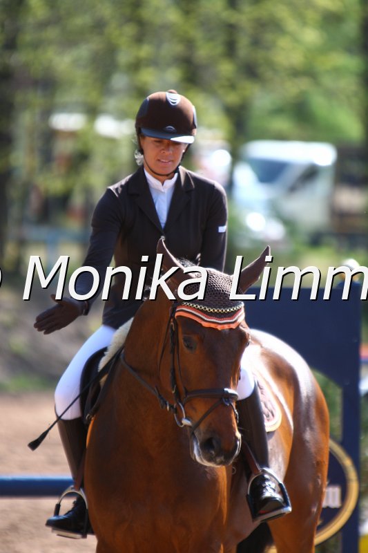 _Chester_Springpferde A xx.JPG